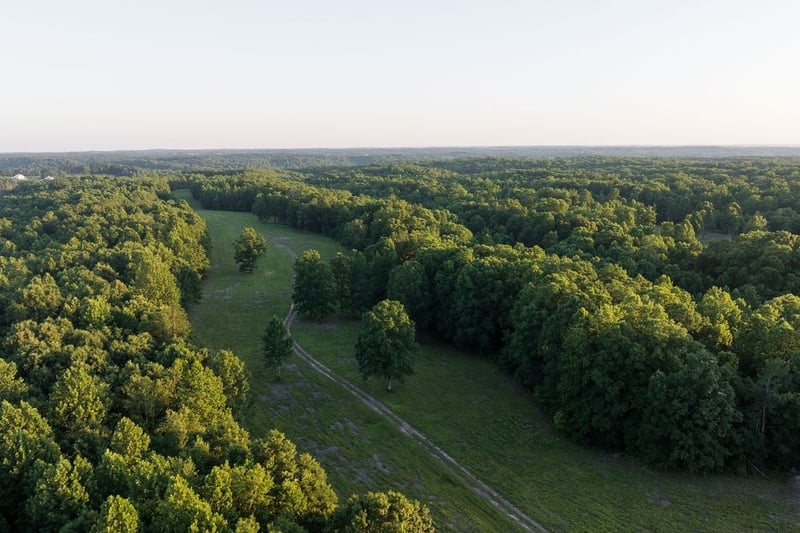 0 Shoals Branch Rd, Primm Springs, TN 38476