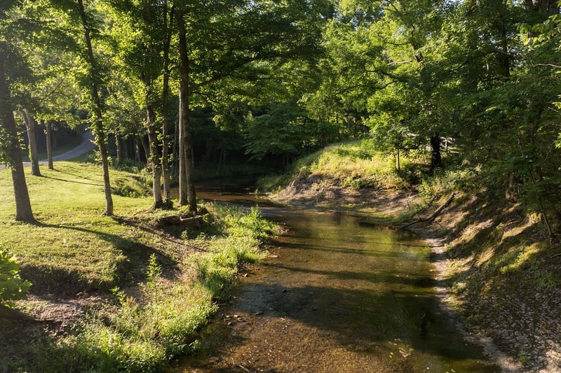 0 Shoals Branch Rd, Primm Springs, TN 38476