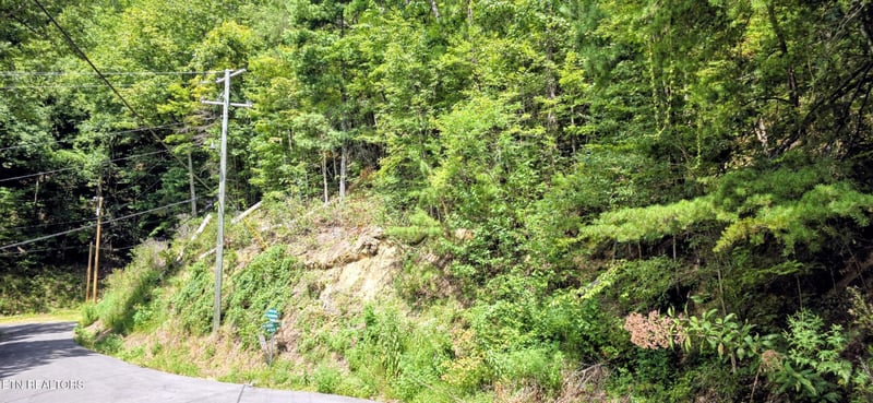 1 Black Walnut Flats Rd Lot 1, Sevierville, TN 37862