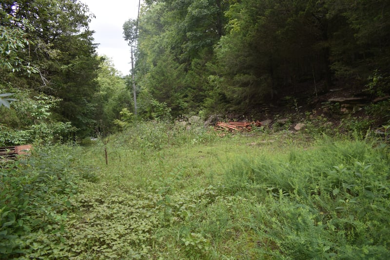 0 Ben Gentry Ln Lot 1-5, Elmwood, TN 38560