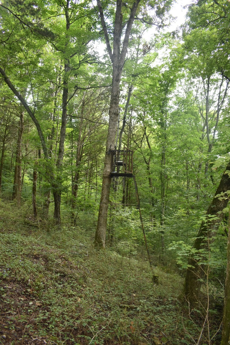 0 Ben Gentry Ln Lot 1-5, Elmwood, TN 38560