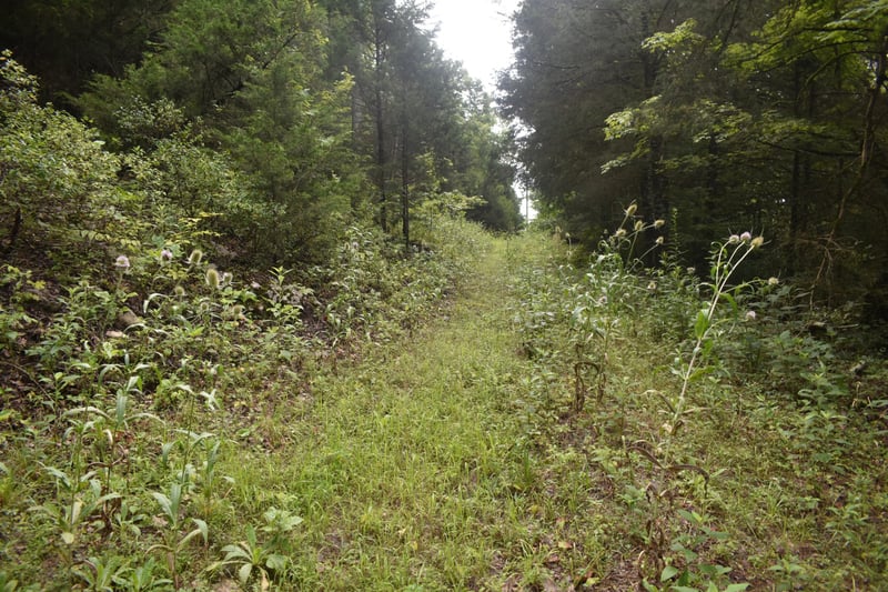 0 Ben Gentry Ln Lot 1-5, Elmwood, TN 38560