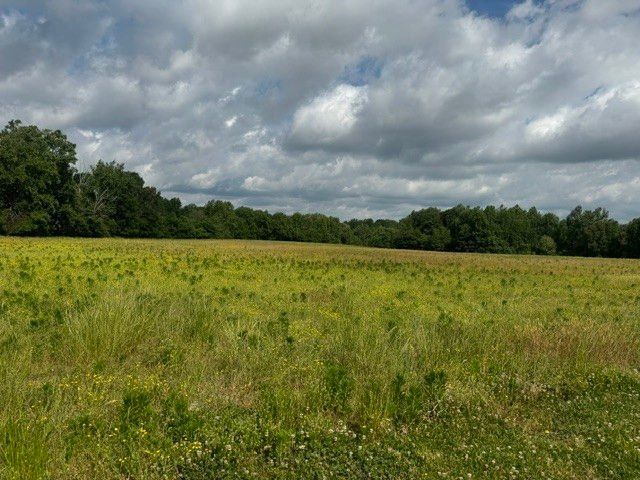 0 Cal Durham Rd Lot 14, Bethpage, TN 37022