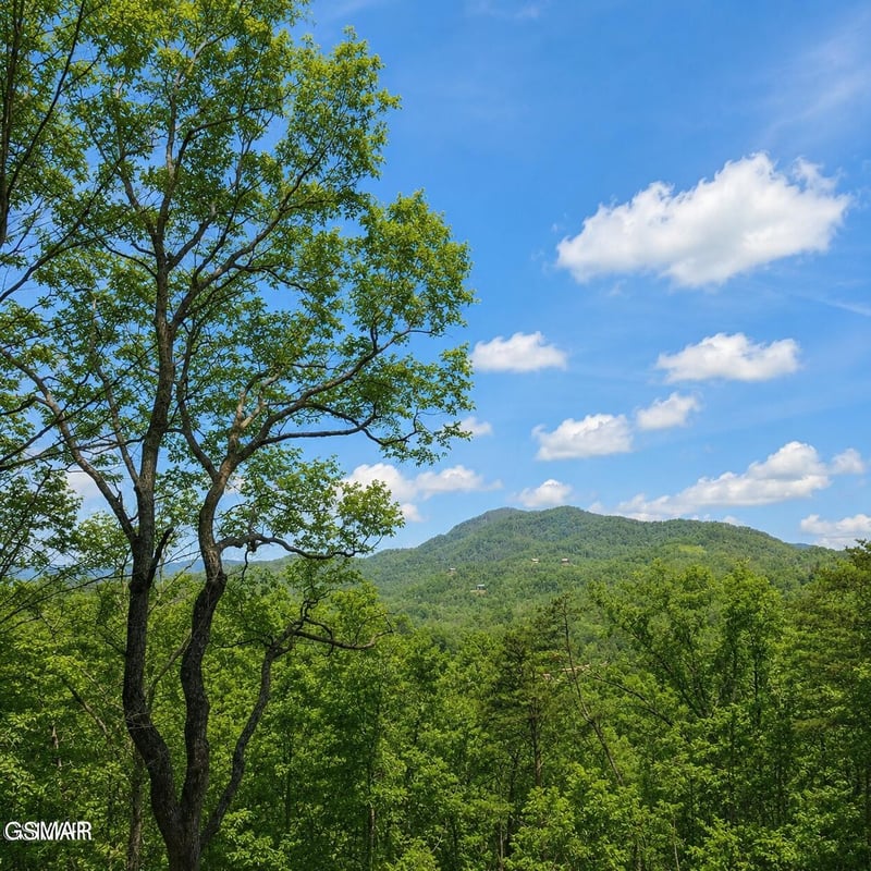 0 Grouse Ridge Ln Lot 36R, Sevierville, TN 37862
