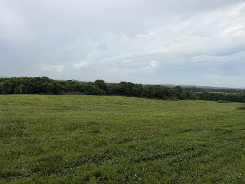 0 Massey Rd, Mount Pleasant, TN 38474