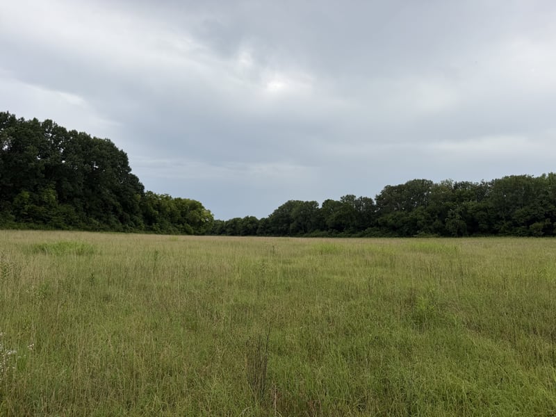 0 Massey Rd, Mount Pleasant, TN 38474