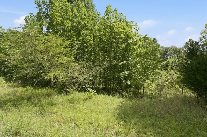 0 Trailwood Ct Lot 29, Joelton, TN 37080