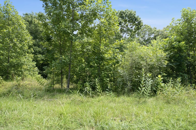 0 Trailwood Ct Lot 29, Joelton, TN 37080