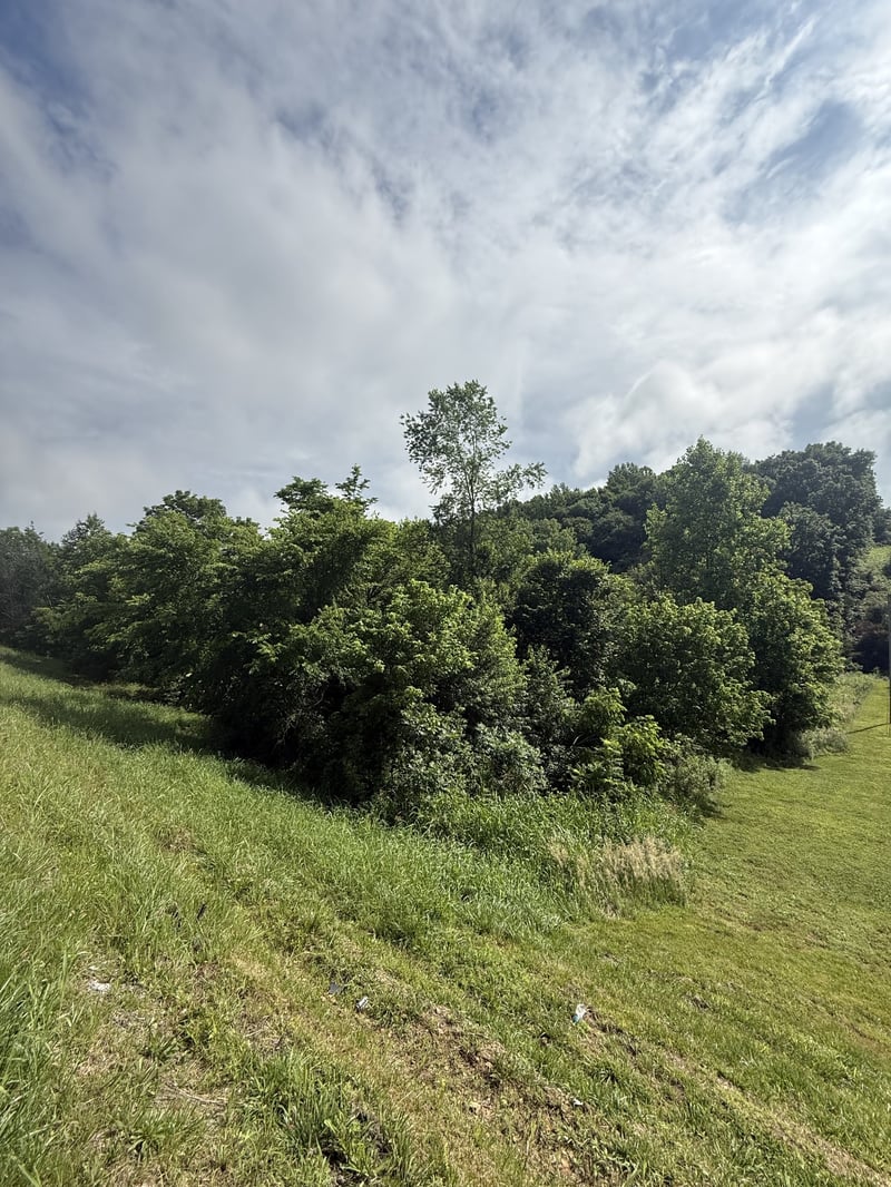 0 Highway 31 E, Westmoreland, TN 37186