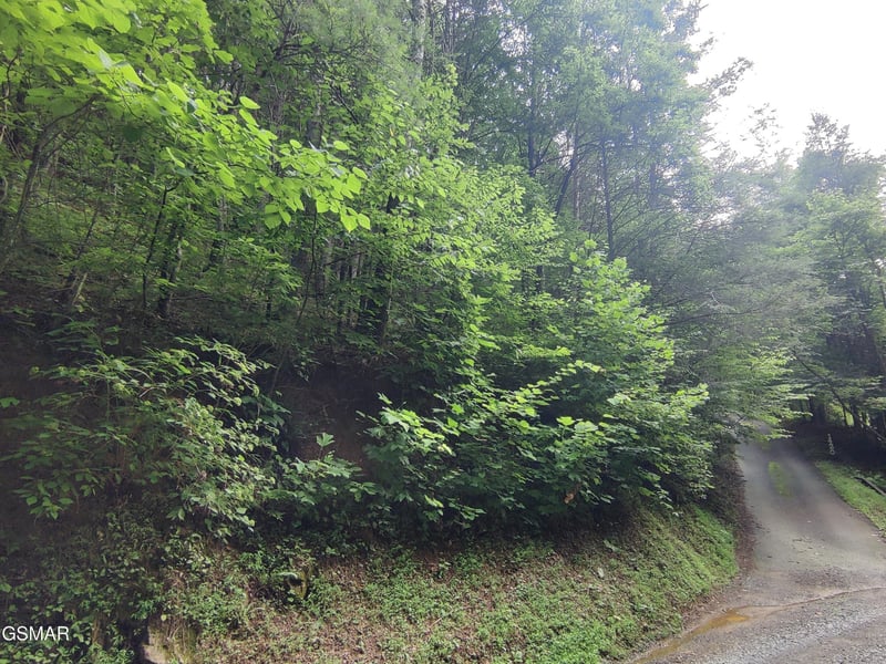 0 Old Hag Hollow Way Lot 16&17, Sevierville, TN 37876