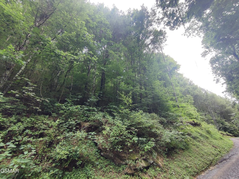 0 Old Hag Hollow Way Lot 16&17, Sevierville, TN 37876