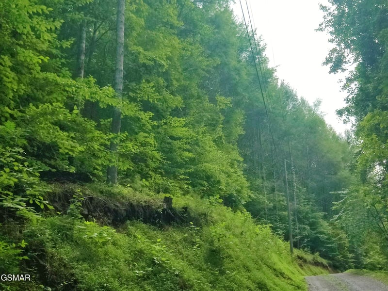 0 Old Hag Hollow Way Lot 16&17, Sevierville, TN 37876