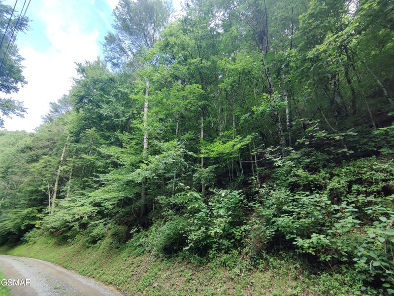 0 Old Hag Hollow Way Lot 16&17, Sevierville, TN 37876