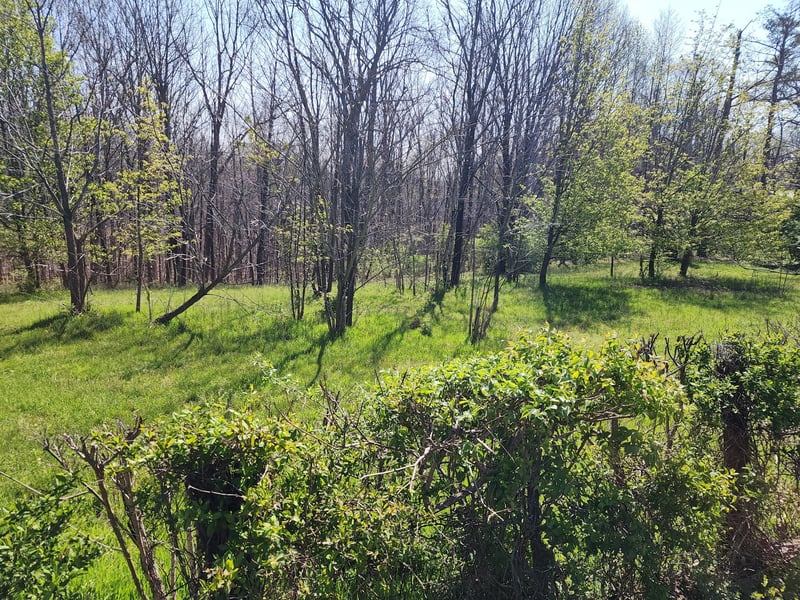 1 Davis Hollow Rd, Franklin, TN 37064