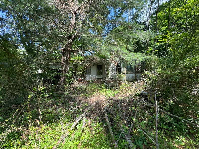 9108 Hwy 20, Summertown, TN 38483
