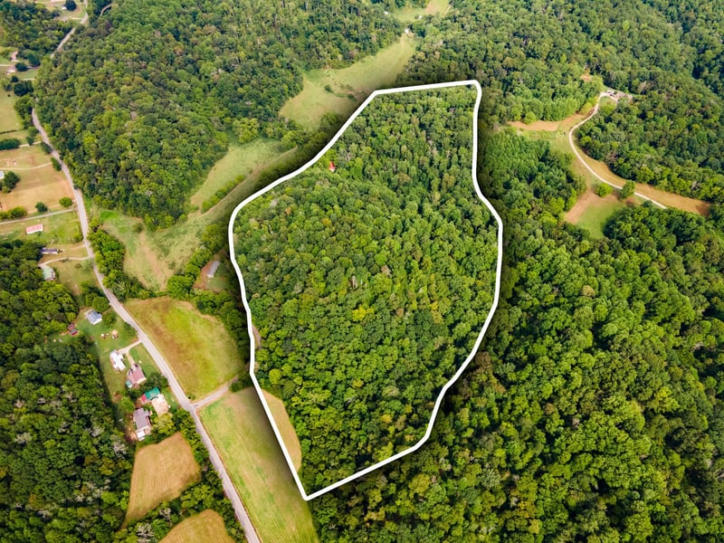 3045 Robert Skelley Rd, Columbia, TN 38401