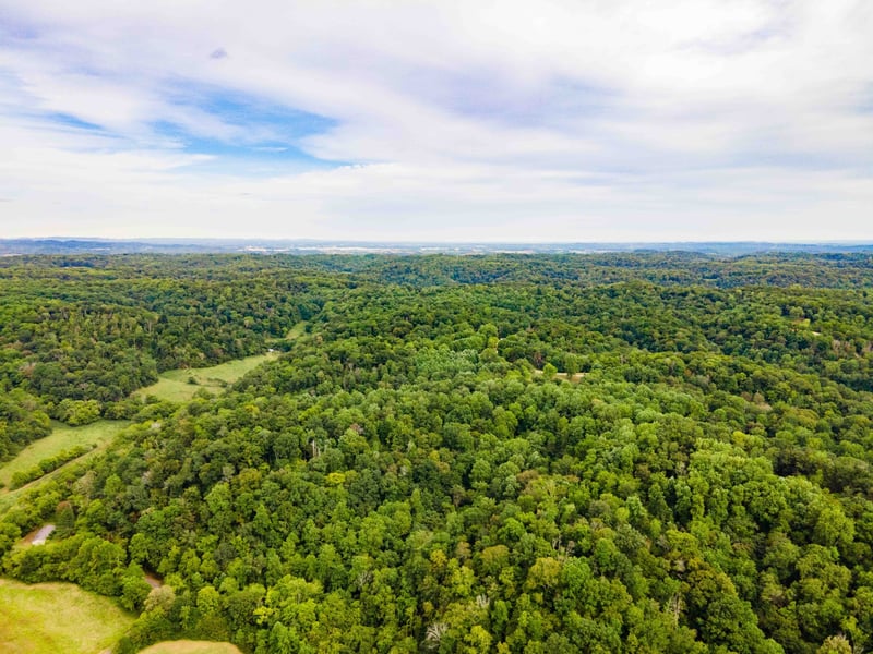3045 Robert Skelley Rd, Columbia, TN 38401