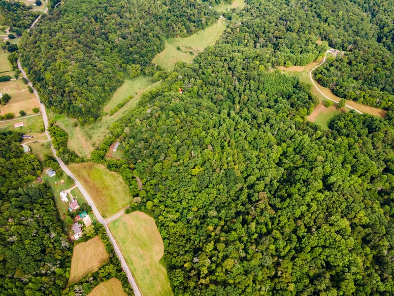 3045 Robert Skelley Rd, Columbia, TN 38401