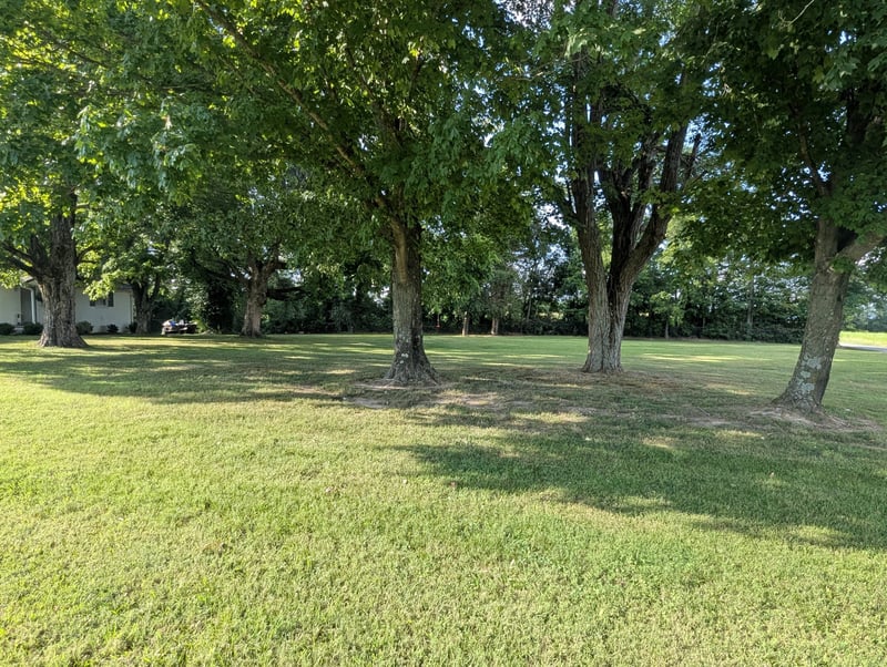 1721 Pleasant Grove Rd, Westmoreland, TN 37186