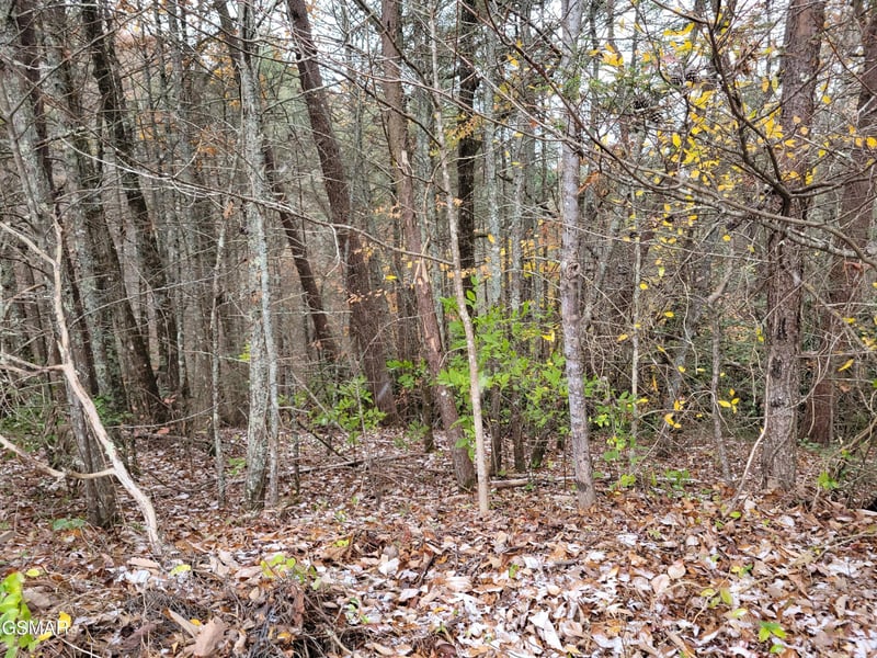 12 Ridge View Dr Lot 1&2, Sevierville, TN 37876