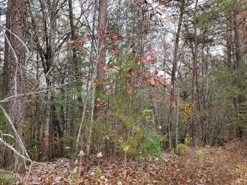 12 Ridge View Dr Lot 1&2, Sevierville, TN 37876