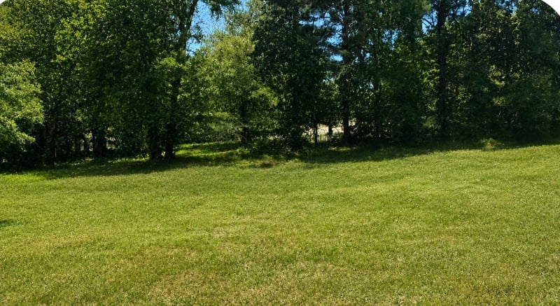 704 Deer Ridge Ln, Lebanon, TN 37087