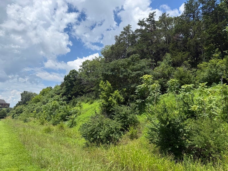 0 Liberty Pike, Franklin, TN 37067