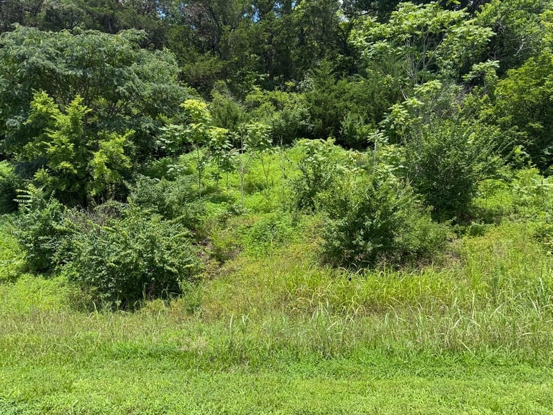 0 Liberty Pike, Franklin, TN 37067