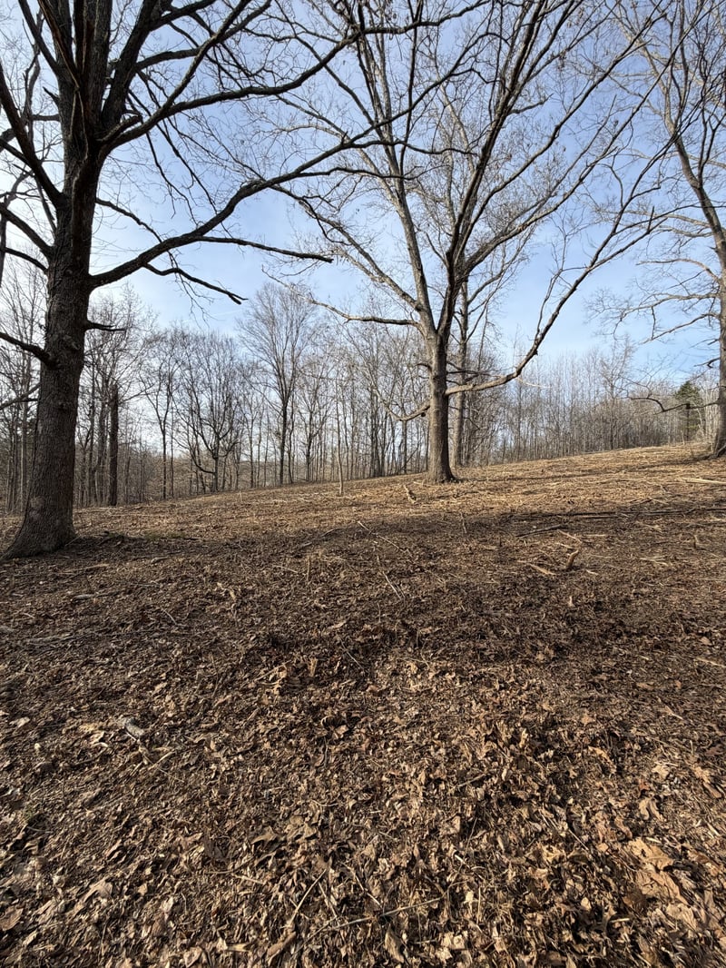 0 Macon Wall Rd Lot 1, Ashland City, TN 37015