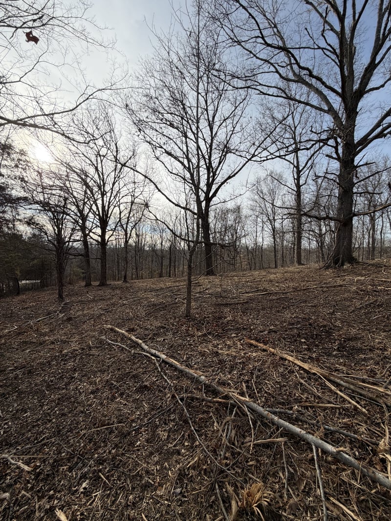 0 Macon Wall Rd Lot 1, Ashland City, TN 37015