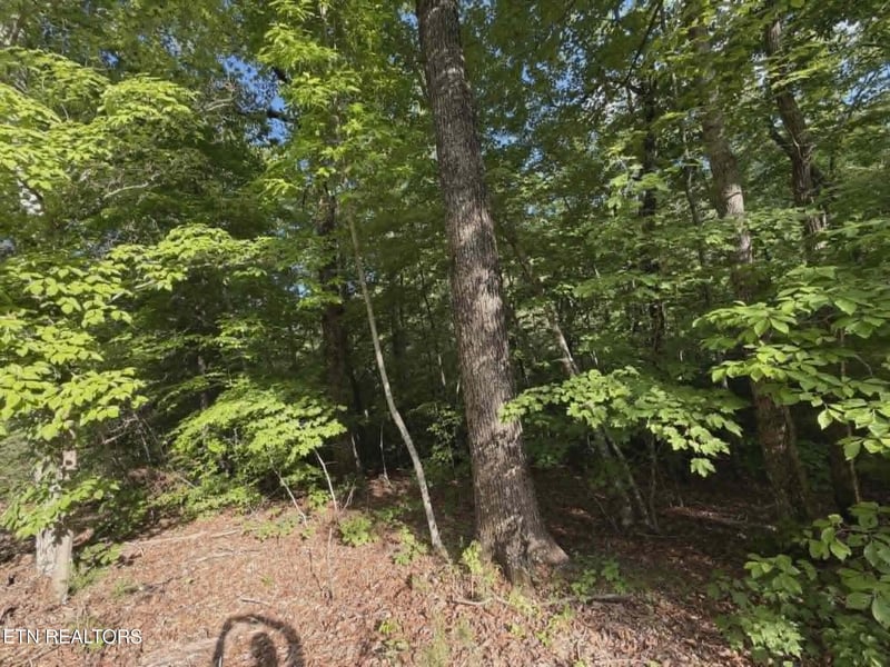0 Fox Hunters Ln Lot 20&21&22&2, Sevierville, TN 37876