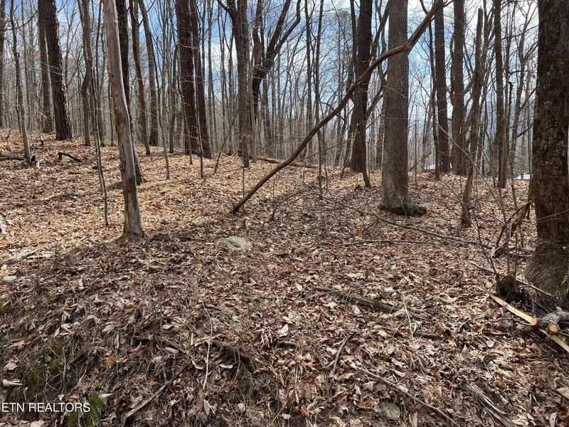 0 Swann Saddle Lot 12, Sevierville, TN 37876