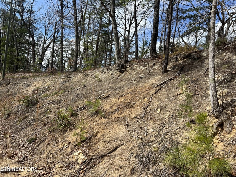 0 Chestnut Ridge Ct Lot 10-11, Sevierville, TN 37876