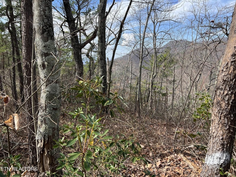0 Chestnut Ridge Ct Lot 10-11, Sevierville, TN 37876