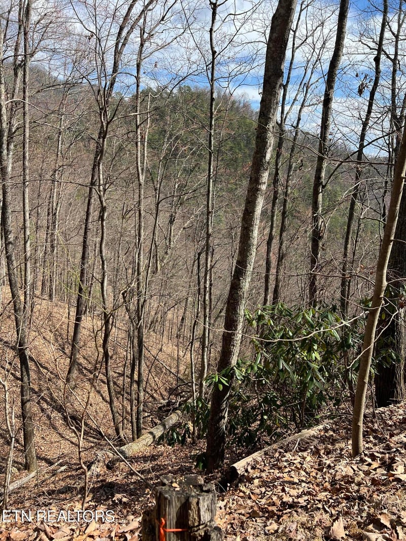 0 Aintree Dr Lot 26, Sevierville, TN 37876