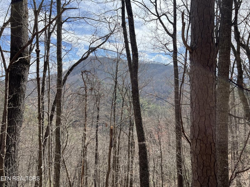 0 Aintree Dr Lot 26, Sevierville, TN 37876