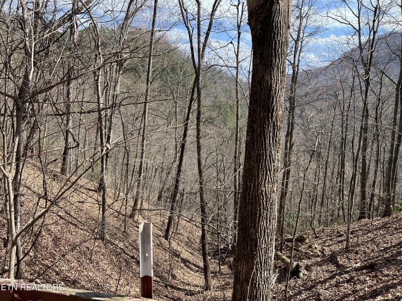 0 Aintree Dr Lot 26, Sevierville, TN 37876