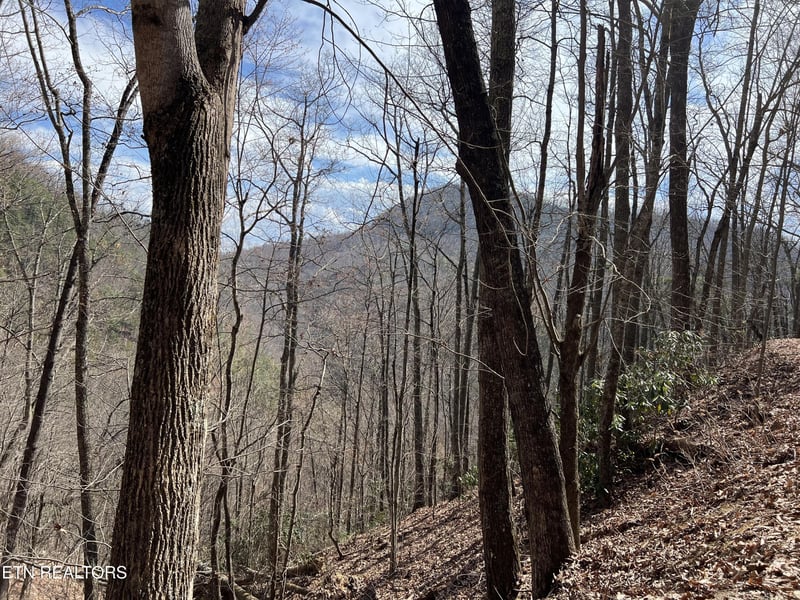 0 Aintree Dr Lot 26, Sevierville, TN 37876