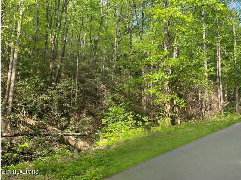 26 Alpine Dr Lot 26, Sevierville, TN 37876