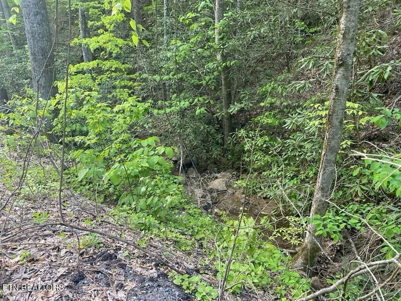 26 Alpine Dr Lot 26, Sevierville, TN 37876