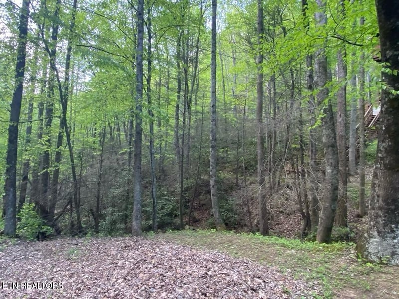 26 Alpine Dr Lot 26, Sevierville, TN 37876