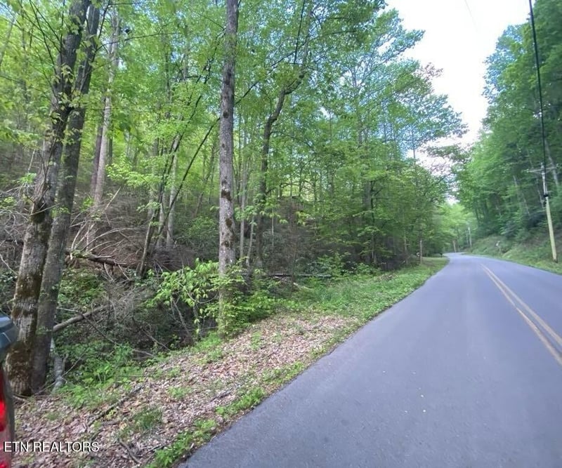 26 Alpine Dr Lot 26, Sevierville, TN 37876