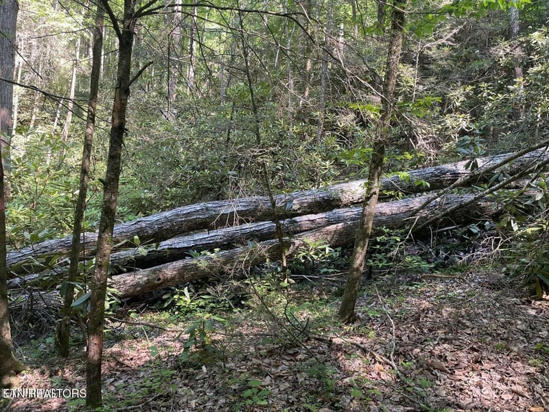 6 Sycamore St Lot 6, Sevierville, TN 37876