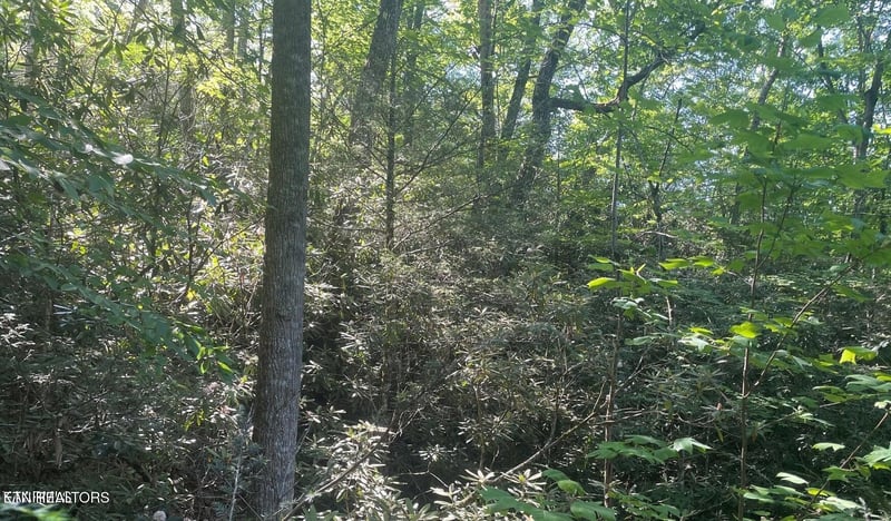 70 Hazelnut Ln Lot 70, Sevierville, TN 37876
