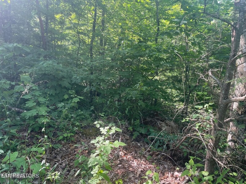 69 Sycamore St Lot 69, Sevierville, TN 37876