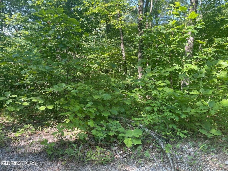 69 Sycamore St Lot 69, Sevierville, TN 37876