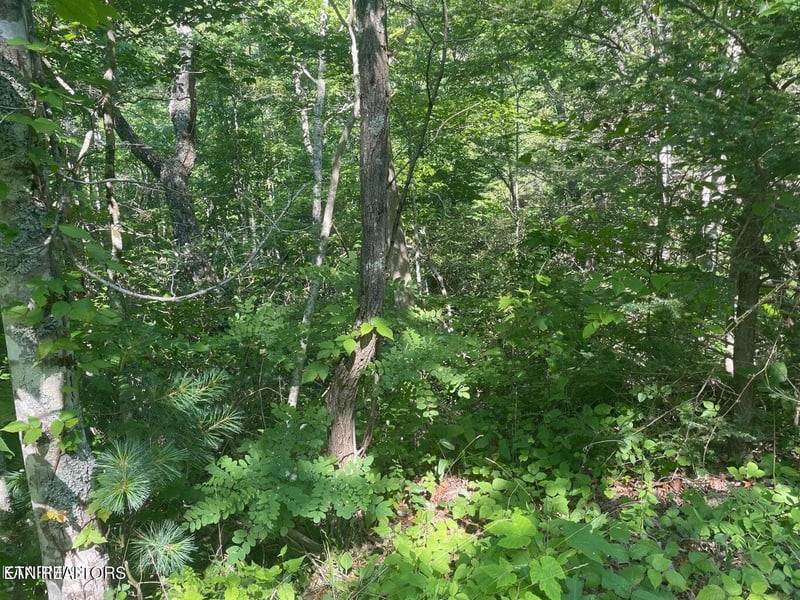 69 Sycamore St Lot 69, Sevierville, TN 37876
