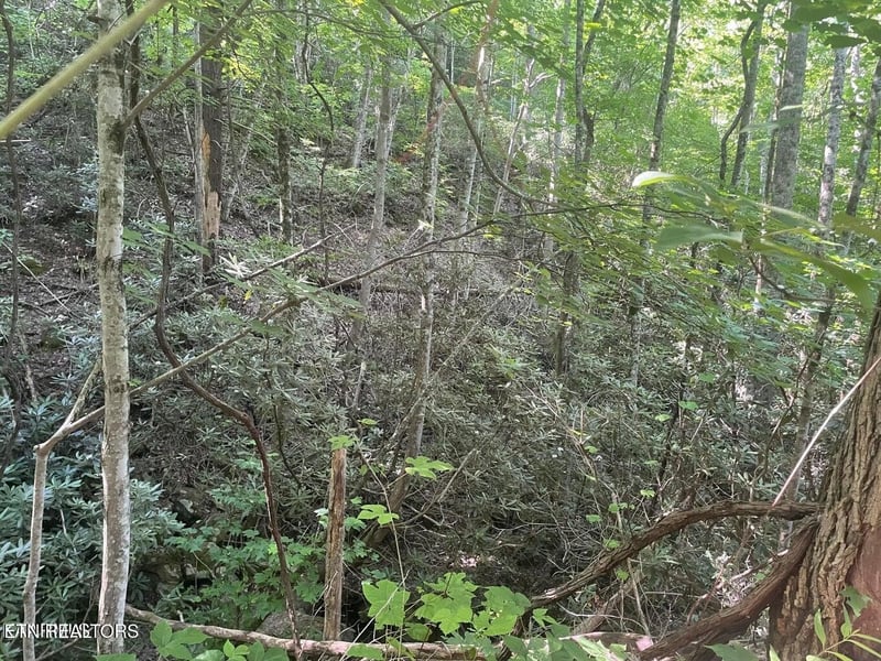 1 Sycamore St Lot 1, Sevierville, TN 37876