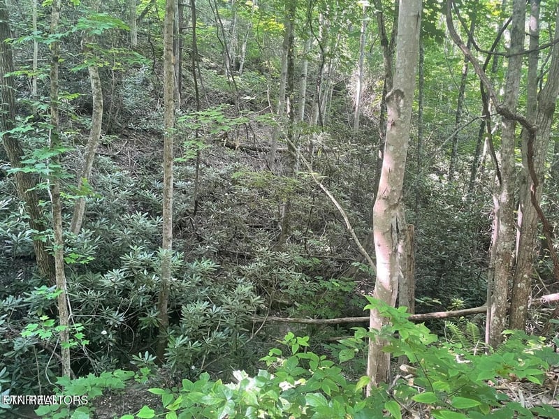 71 Hazelnut Ln Lot 71, Sevierville, TN 37876