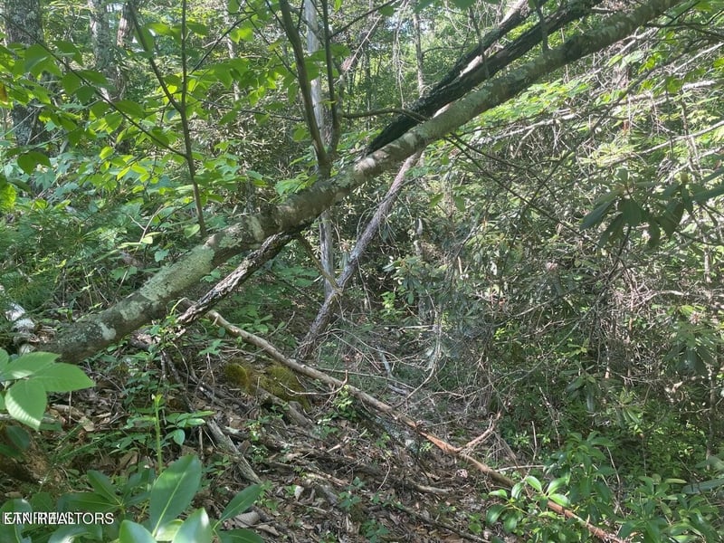 68 Sycamore St Lot 68, Sevierville, TN 37876